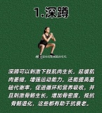 增强腿部肌肉力量有哪些运动？可针对不同肌群进行锻炼