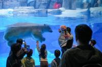 鄭州入圍五一國內(nèi)熱門出發(fā)城市TOP10 假期出行熱度高漲