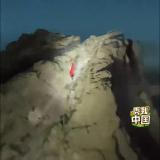游客為舉國旗夜爬男子照亮上山路 眾人電筒助行