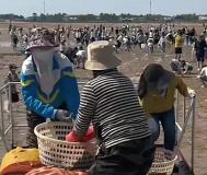 博主：擠爆的榮昌成五一最大贏家 小城逆襲記