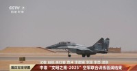 中埃兩國(guó)空軍演練制空作戰(zhàn) 深化軍事互信與合作