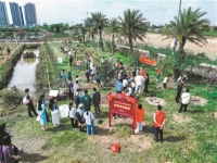 廣州開展植樹活動超1600場 植綠護綠共建美好家園