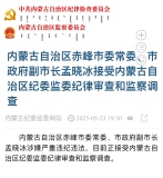 赤峰市副市長孟曉冰被查 涉嫌嚴重違紀(jì)違法