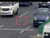 小貓在高架受困司機(jī)停車施救 善舉化解交通擁堵