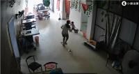 老頭樂失控11歲姐姐飛身救妹 姐姐反應(yīng)神速獲贊無數(shù)