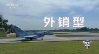 專家：印尼空軍欲選殲-10很機智 性價比高引發(fā)關(guān)注