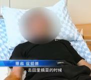 大爷被五步蛇咬伤 一脚踩死带蛇就医 快速匹配血清助脱险