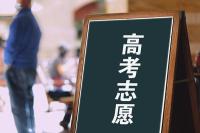 AI填報高考志愿靠譜嗎 科技助力還是大忽悠,？