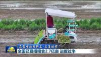 全国已夏播粮食2.7亿亩 播种进度快于常年