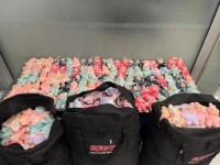北京海關查獲侵犯泡泡瑪特商標權貨物8805件 侵權玩偶被扣留