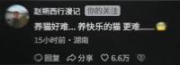 會(huì)拉車的網(wǎng)紅貓“喪彪”中毒死亡 趙朔評論區(qū)留言：養(yǎng)貓好難