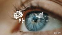 極端高溫中小心你的眼睛,，可能受到不可逆損傷 氣候變化加劇眼疾風險