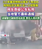 河北通报辅警开警车送家人购物被处理