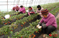 代表：要让农民工老有所依 关注农村留守老人养老问题