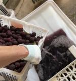 媒体：堵住食品安全过程漏洞 监管需覆盖全链条