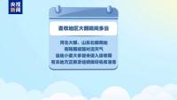 全國小麥收獲進度過六成 多地迎來豐收季