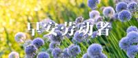 家长被洗脑称孩子挨打才有效果 官方成立联合调查组