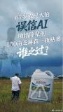大爷听AI洒农药 150亩苗一夜枯萎 农户损失惨重