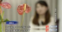 399人被骗后又遭假律师二次诈骗 利用急切心理再设圈套