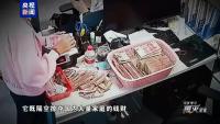 缅北园区对中国籍人员说杀就杀说埋就埋 电诈集团的残忍真相