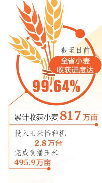 山西省小麦大规模机收基本结束