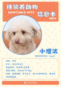 小埋汰-狗-2023年6月