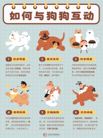 猫咪狗狗知识
