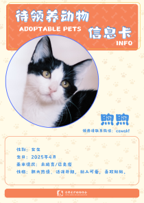 煦煦-猫-2025年4月