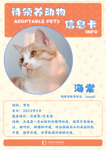 海棠-猫-2023年3月
