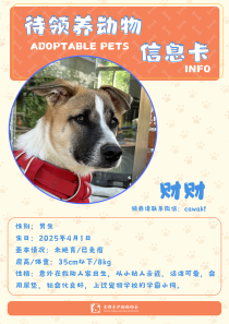 财财-狗-2025年4月