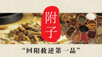 补先天命门真火,回阳救逆第一品——附子