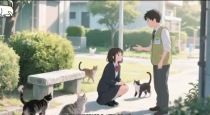 流浪猫科学救助指南 用正确的方式守护它们的生命