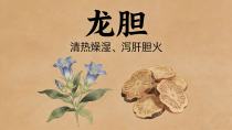 清热燥湿、泻肝胆火——龙胆