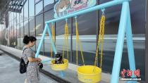 四川高速首个“宠物驿站”让“毛孩子”旅途有专属“歇脚地”
