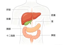 与乙肝合并共处的五大原则