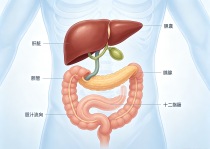 乙肝患者肝癌风险防控的三条军规