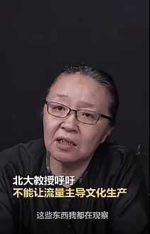 教授称不能让流量主导文化生产：封闭了太多可能性