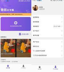 鲁班去字幕app如何去除字幕