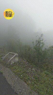 男子驾车翻下深沟摩托骑手托举脱困 危难时刻显身手