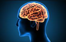 研究发现人类智商或开始下降 数学推理能力显著下滑
