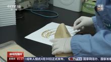 中國空間站多項(xiàng)太空實(shí)驗(yàn)已取得成果 涵蓋植物動物材料研究