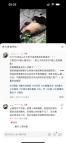 游客往大熊貓場館扔異物 園方回應(yīng)：大熊貓暫時沒有異常
