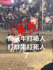 貴州一斗牛比賽現(xiàn)場發(fā)生沖突致人死亡？部門辟謠：不屬實