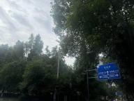 成都多地深夜驚現(xiàn)神秘噠噠聲 夜鷹唱情歌擾民
