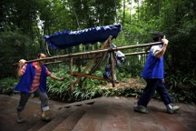 3名轎夫抬游客上山引熱議,！