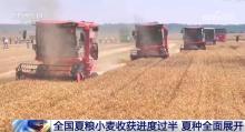 各地推出暖心舉措服務(wù)夏收 助力夏糧豐收歸倉