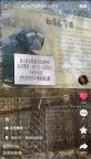 白眉長臂猿太愛叫 高考期間不展出 為考生靜音