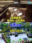 被苏超小女孩圈粉了 足球联赛带动文创热潮