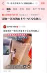 一惡犬流竄多個小區(qū)咬傷數(shù)人 警方迅速行動成功捕獲