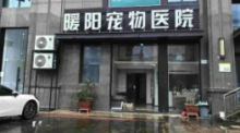 女子帶小貓就醫(yī)小貓死亡：懷疑治療措施不當(dāng)！醫(yī)生回應(yīng)